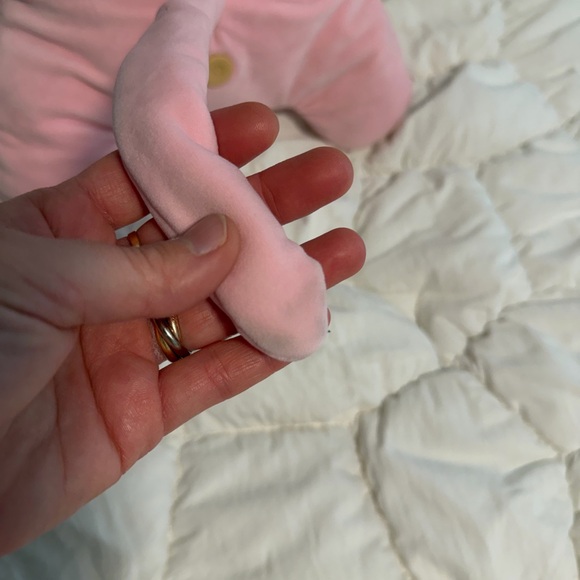 Rare Bigg Fugg sphinx cat - Picture 8 of 10